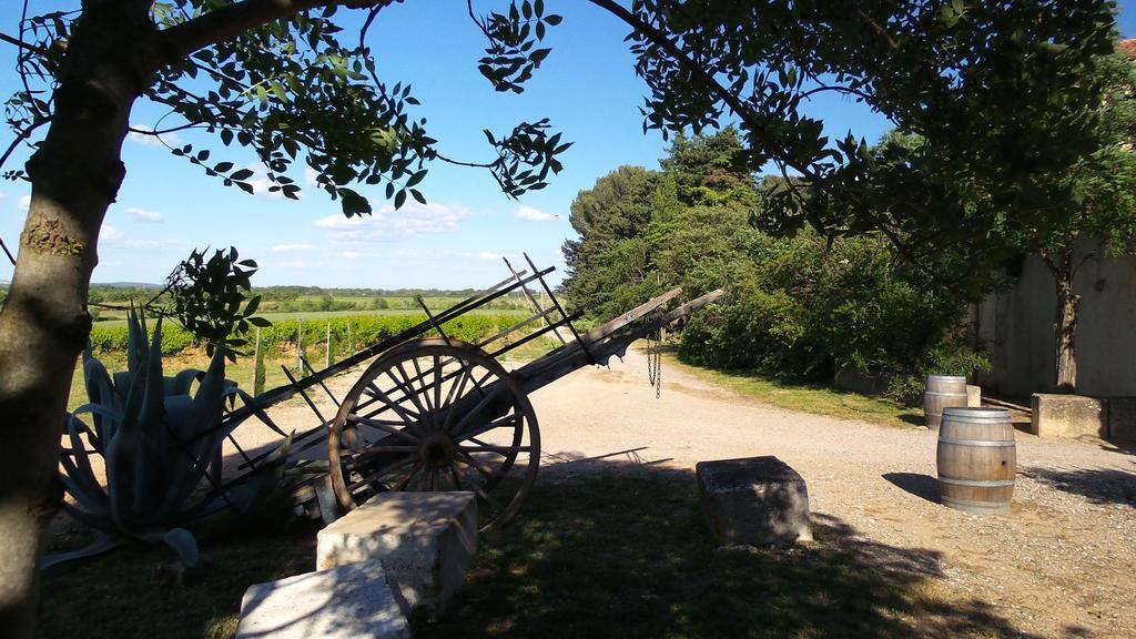 Chateau Le Vergel Authenac Ginestas Pokoj fotografie