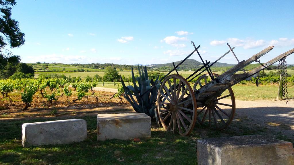 Chateau Le Vergel Authenac Ginestas Pokoj fotografie
